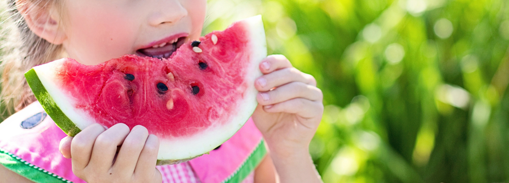 Educacion Alimentaria